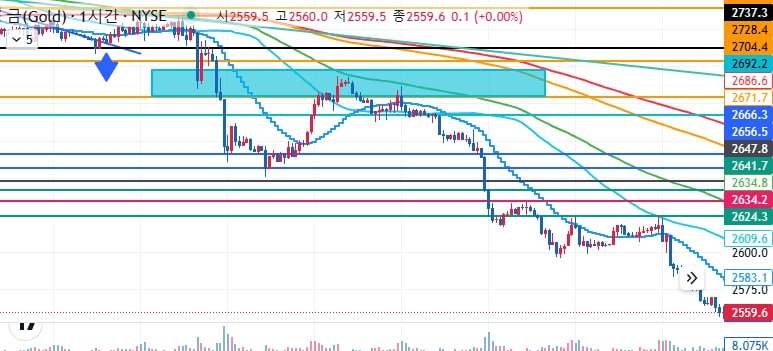 골드 24,11,13(목) 차트 브리핑