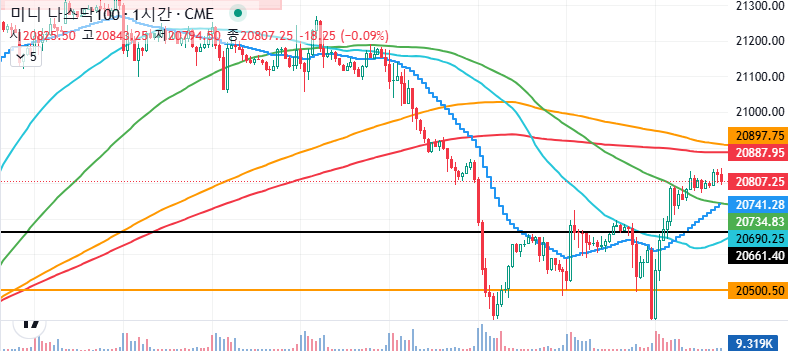 나스닥 차트분석 24.11.20