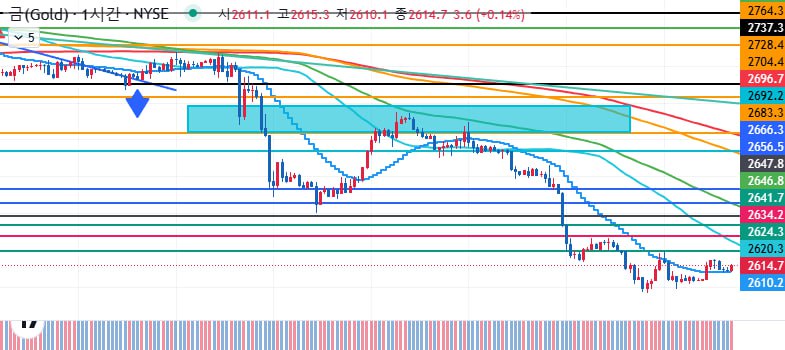 24,11,13(수) 골드 차트브리핑