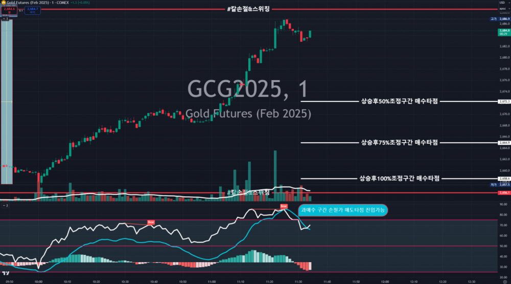 해외선물 먹튀 업체 - 2024년 11월 29일 (금) 골드 타점분석