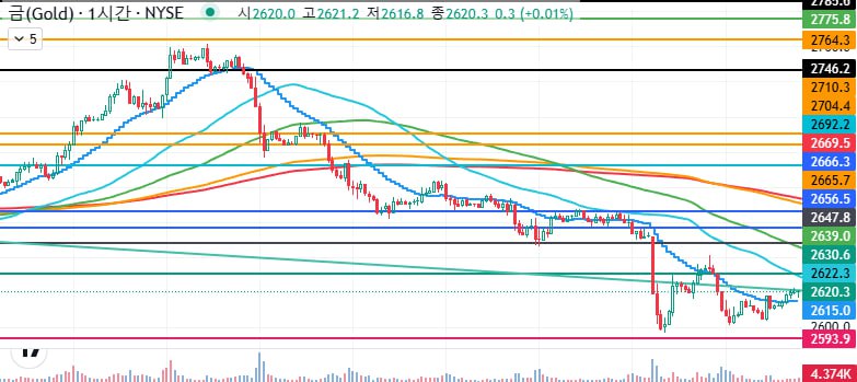 나스닥 차트 분석 24.12.20