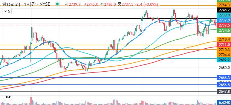 2025년 01월 21일 골드차트 브리핑